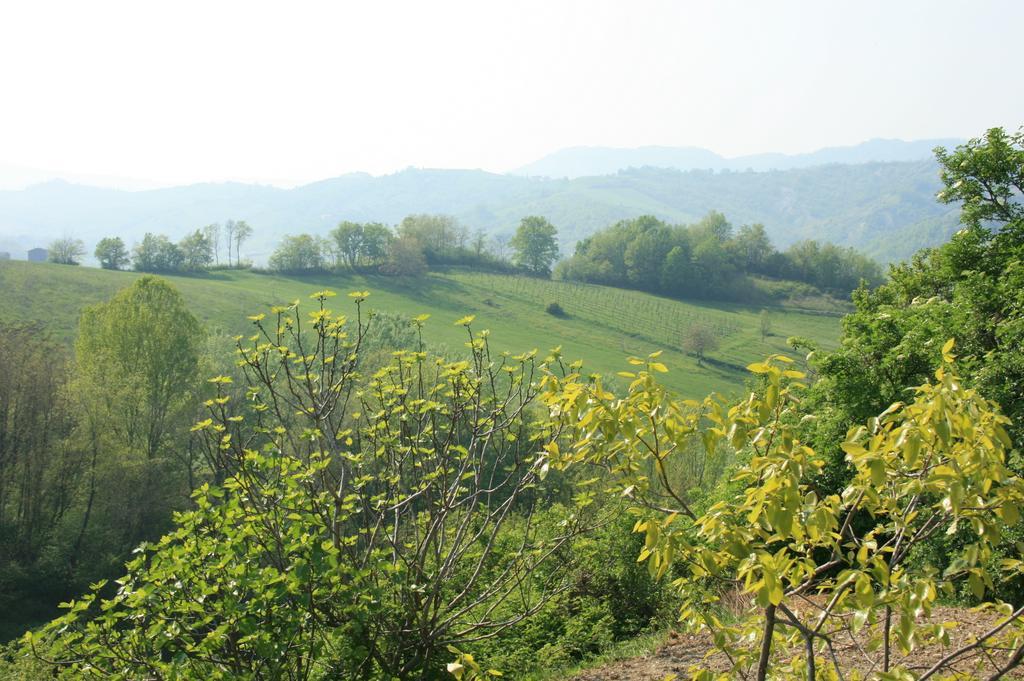 Casa Dell' Abbondanza B&B Agriturismo Vigoleno Экстерьер фото